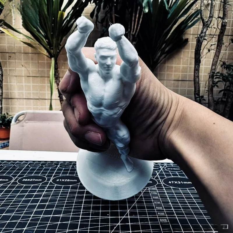 Hardcore muscular male competi - 3D Printing Gold ulasan dan harga