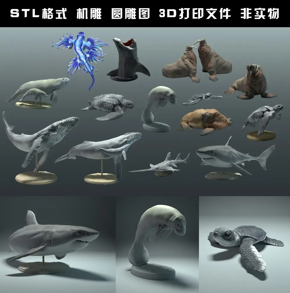 animals, polar bear, takin, wo - 3D Printing Rabbit ulasan dan harga