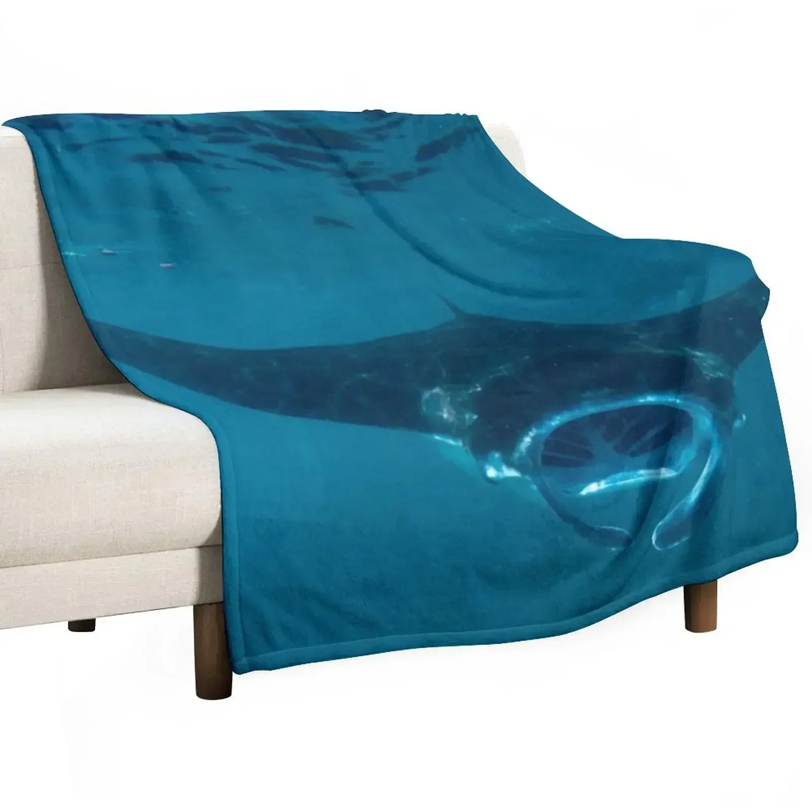 Curious Manta Ray At Crystal B - 3D Printing Bali ulasan dan harga